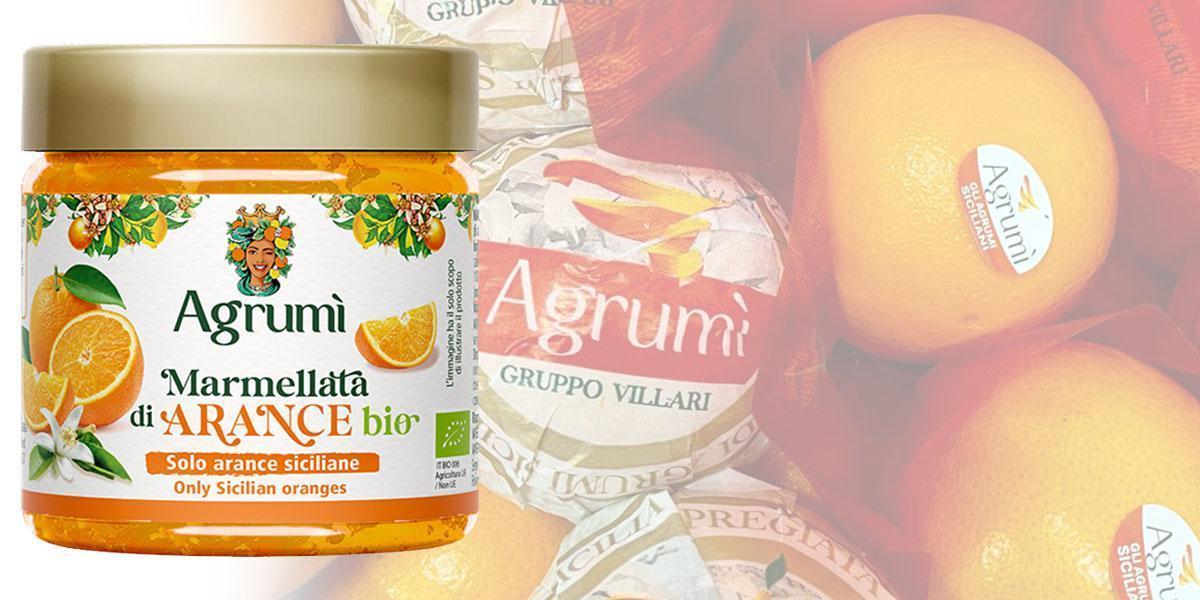 Marmellata di Arance BIO Agrumi - Ricetta tradizionale - Vasetto da 310gr