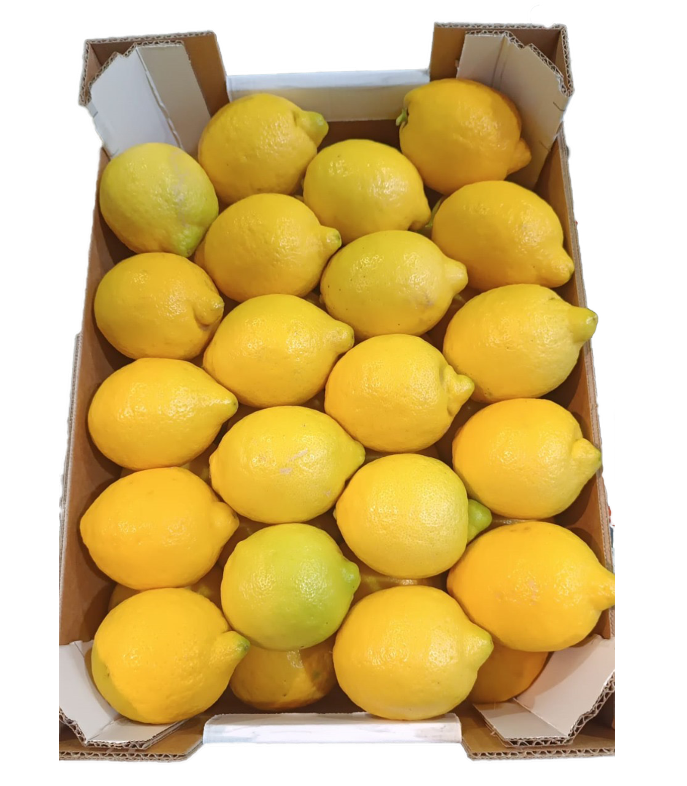 Limone Lumi 9 kg origine Sicilia