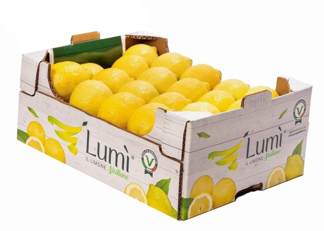 Limone di Sicilia Femminello Siracusano Fioritura Bianchetto 9 kg laterale